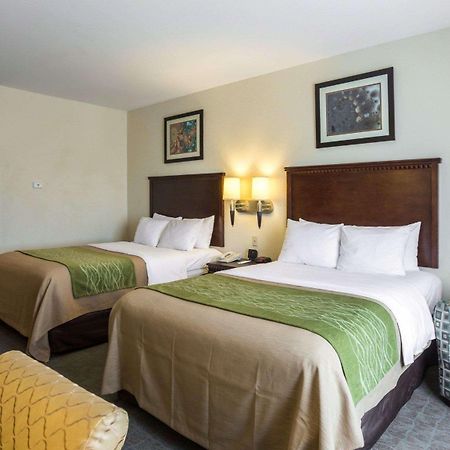 Quality Inn Donaldsonville - Gonzales Buitenkant foto